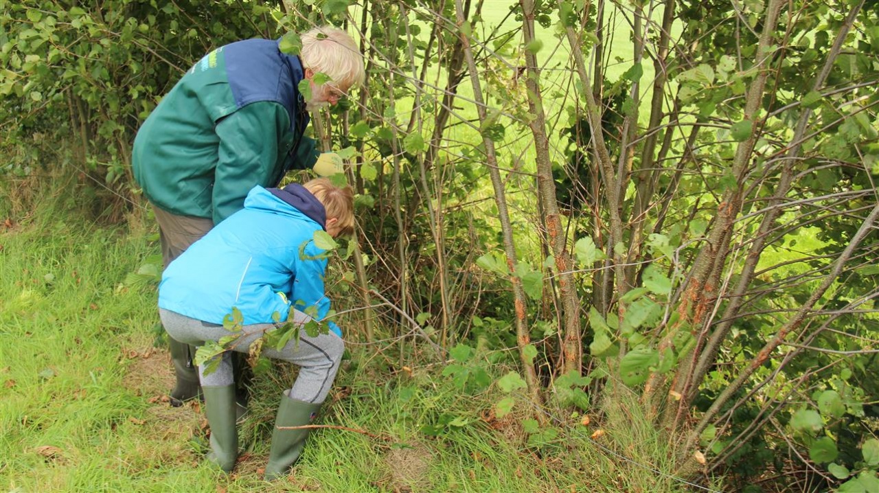 Duizend Kinderen Aan De Slag Met Landschapsonderhoud Rtv Nof Nieuws