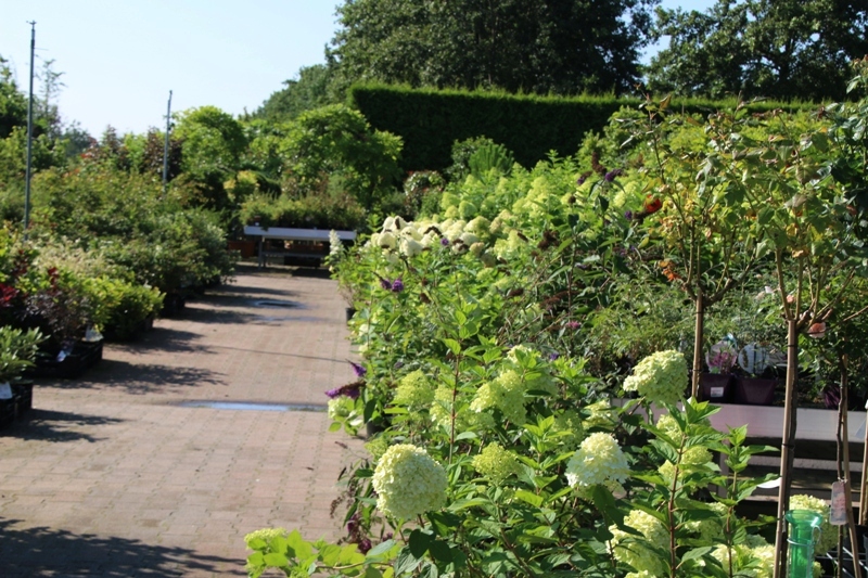 Tuin in De Westereen een begrip in de regio RTV NOF