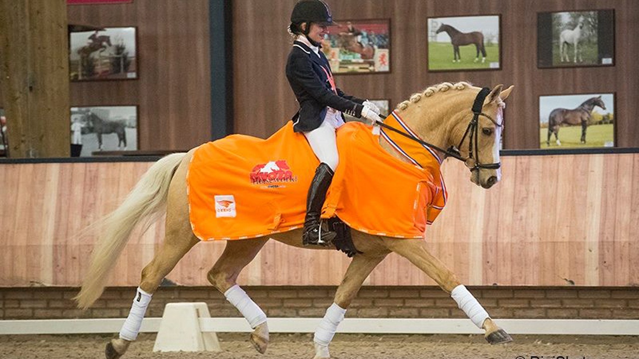 Esther Postmus Nederlands Kampioen Dressuur RTV NOF Nieuws