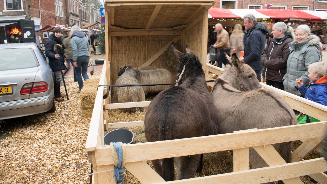 VIDEO Kerstmarkt Dokkum trekt duizenden bezoekers RTV NOF Nieuws