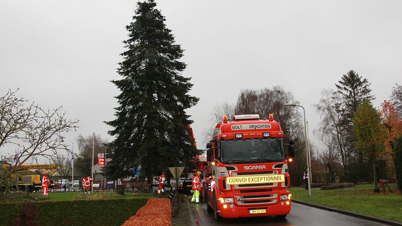 UPDATE Kerstboom uit Harkema verplaatst naar rotonde bij schouwburg De